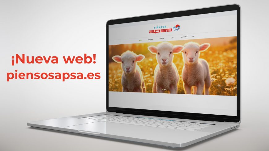 ¡Estrenamos web!