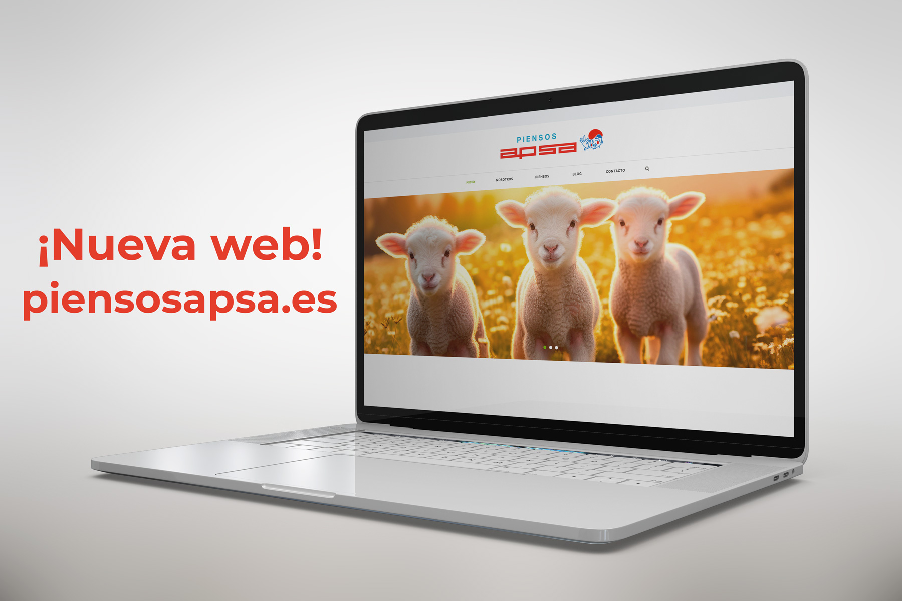 Nueva web - Piensos APSA