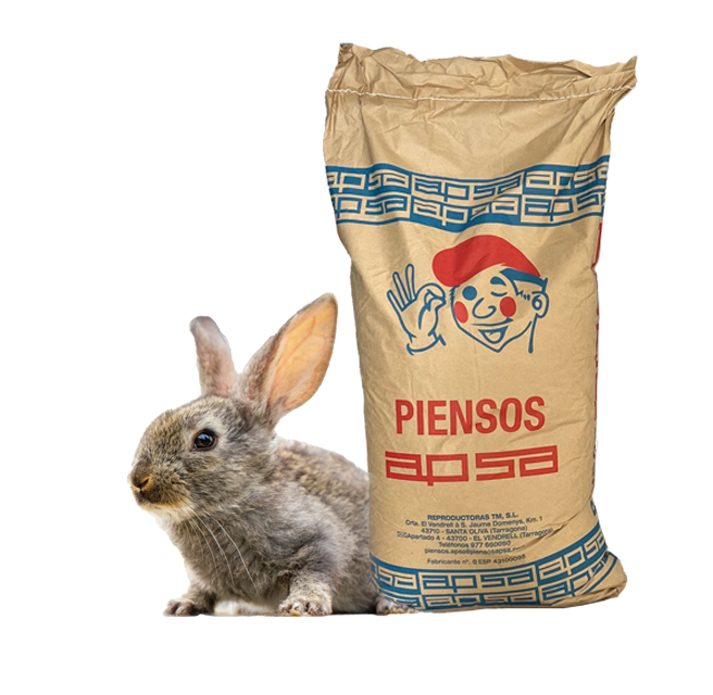 Conejos