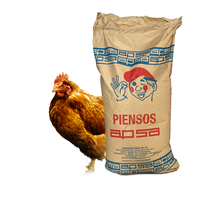 Gallinas