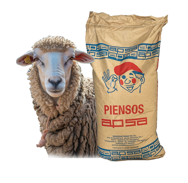 Pienso Ovino